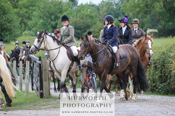 Hurworth Hunt 355
