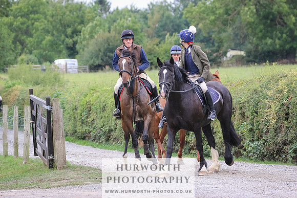 Hurworth Hunt 368