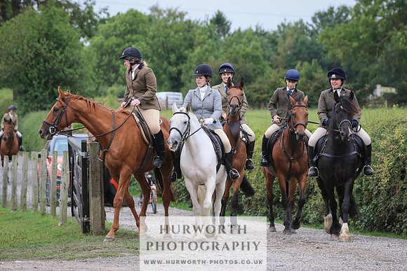 Hurworth Hunt 374