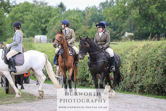 Hurworth Hunt 375