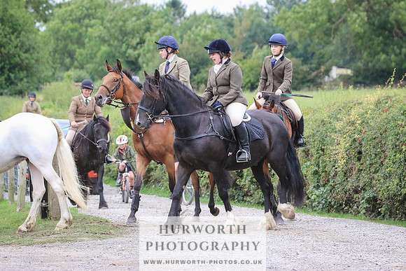 Hurworth Hunt 376