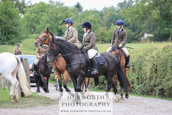 Hurworth Hunt 377