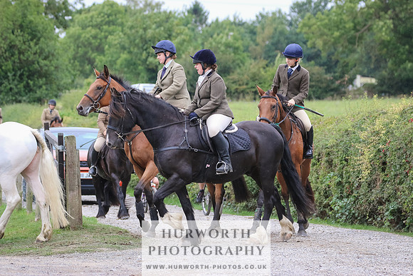 Hurworth Hunt 378