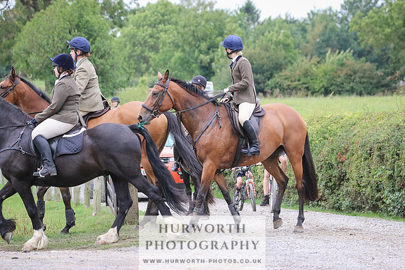 Hurworth Hunt 379