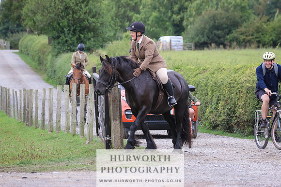 Hurworth Hunt 381