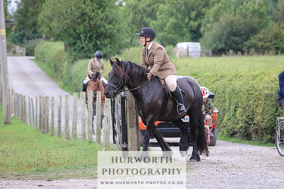 Hurworth Hunt 382