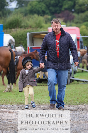 Hurworth Hunt 384