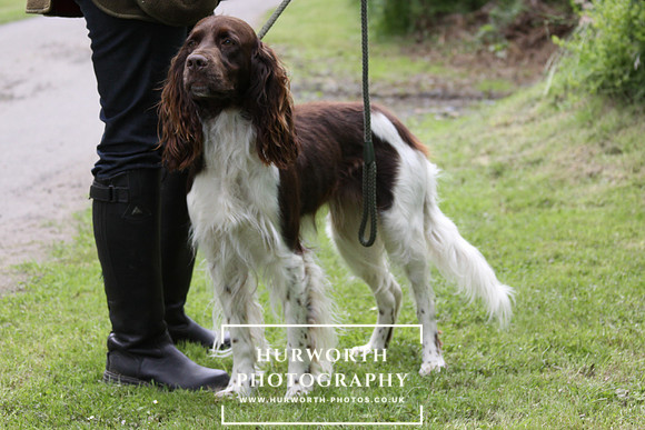Ladies Shooting 017