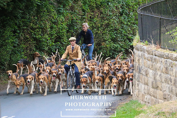 Hurworth Hunt 019
