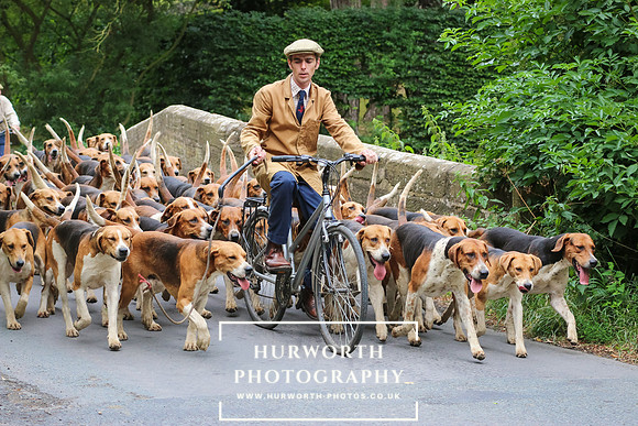 Hurworth Hunt 043