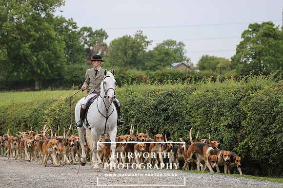 Hurworth Hunt 311