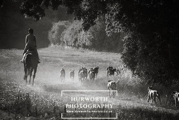 Hurworth Hunt 003