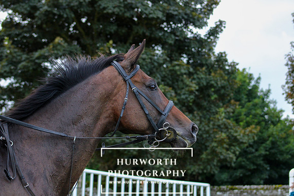 Middleham Pleasure Ride-210