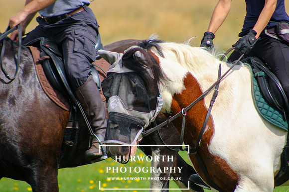 Middleham Pleasure Ride-257