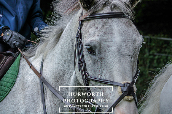 Middleham Pleasure Ride-293