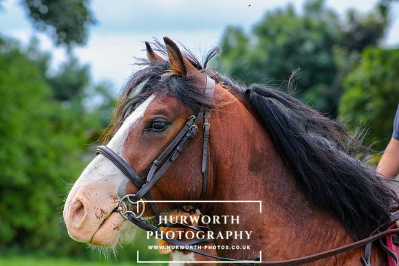 Middleham Pleasure Ride-310