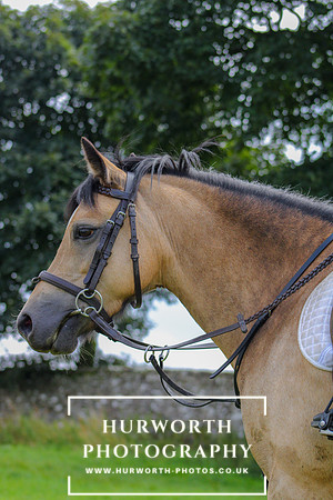 Middleham Pleasure Ride-335