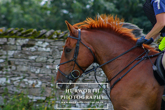 Middleham Pleasure Ride-343