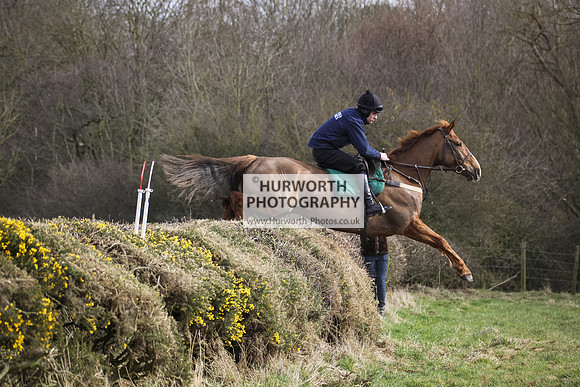 Hurworth Hunt Hedge Hop 048