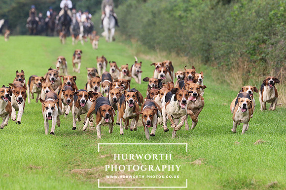 Hurworth Hunt 428