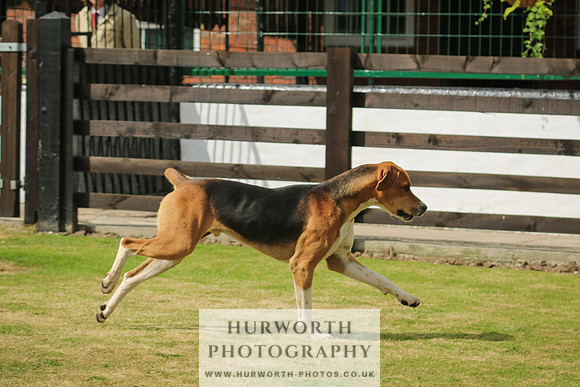 Hunter Hunt 015