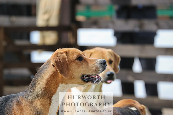 Hunter Hunt 018