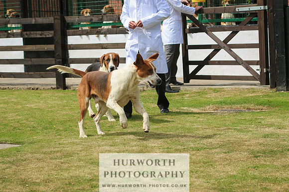 Hunter Hunt 028