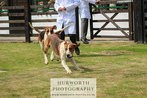 Hunter Hunt 029