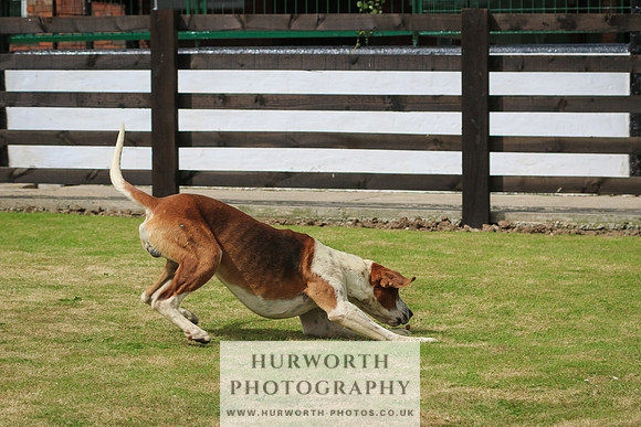 Hunter Hunt 035