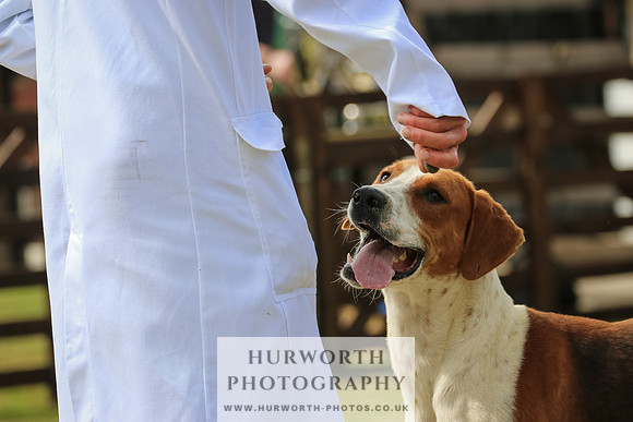 Hunter Hunt 040