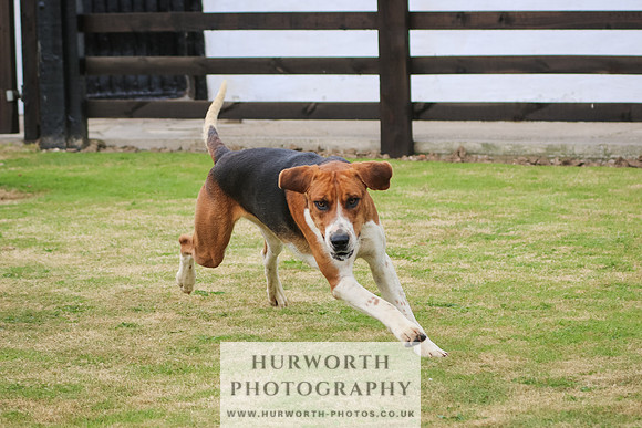 Hunter Hunt 043