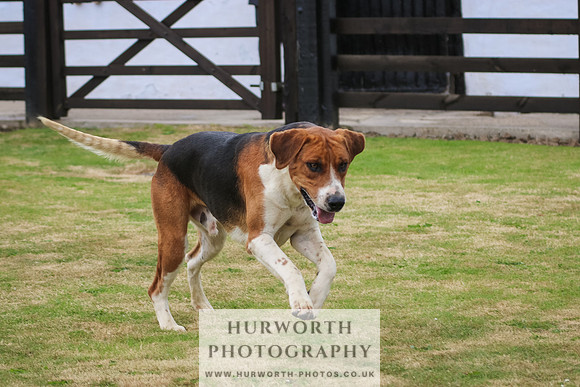 Hunter Hunt 048