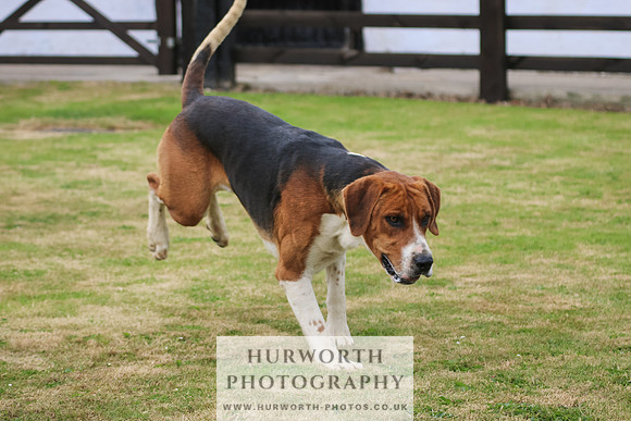 Hunter Hunt 049