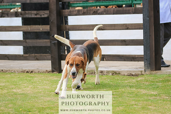 Hunter Hunt 061