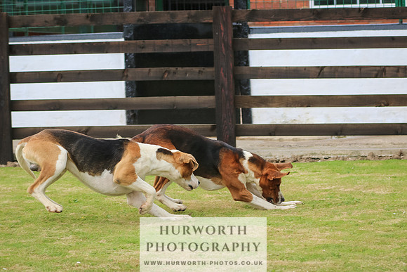 Hunter Hunt 066