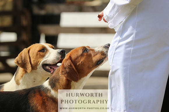 Hunter Hunt 069
