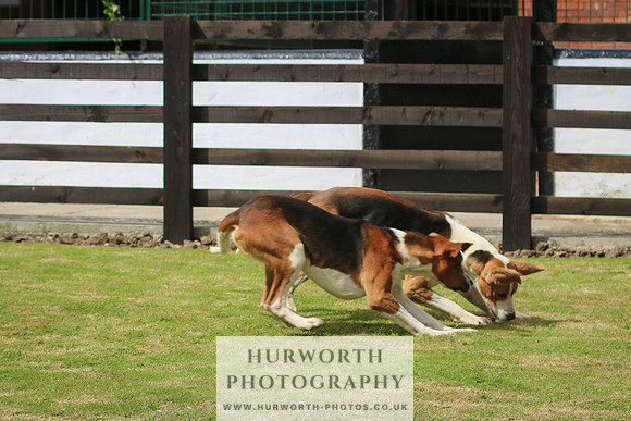 Hunter Hunt 075