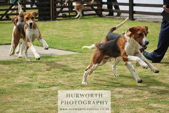 Hunter Hunt 089