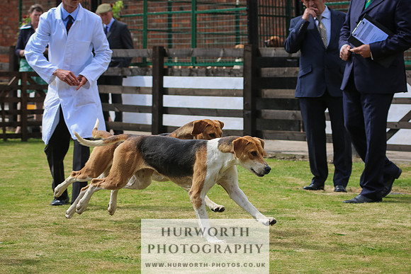 Hunter Hunt 112