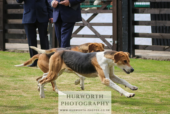 Hunter Hunt 113