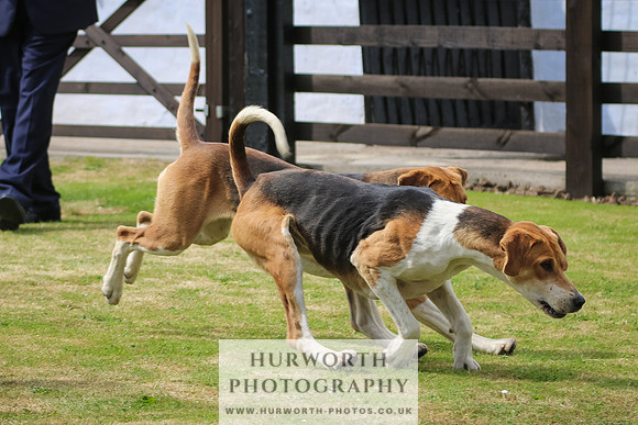 Hunter Hunt 114