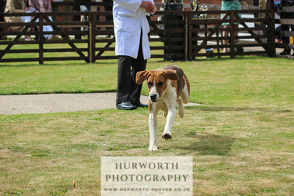 Hunter Hunt 116