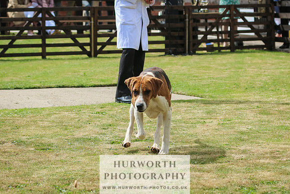 Hunter Hunt 117