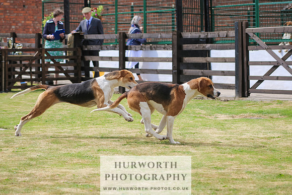 Hunter Hunt 121
