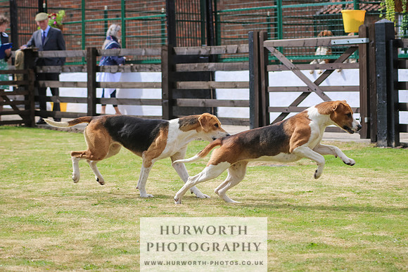 Hunter Hunt 122