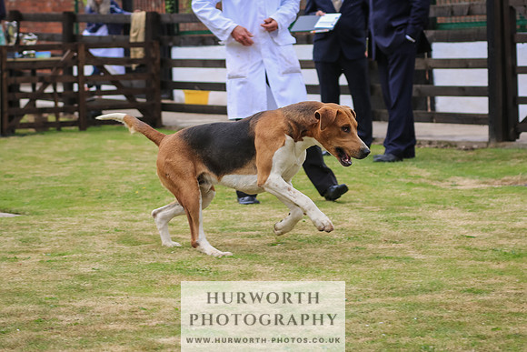 Hunter Hunt 138