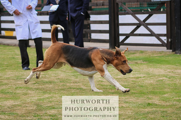 Hunter Hunt 139