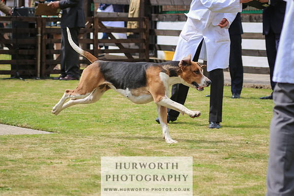 Hunter Hunt 146