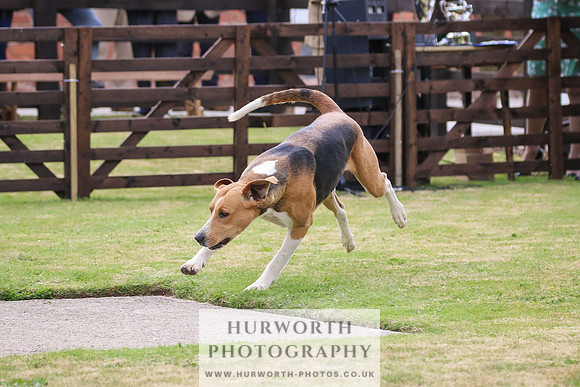 Hunter Hunt 149
