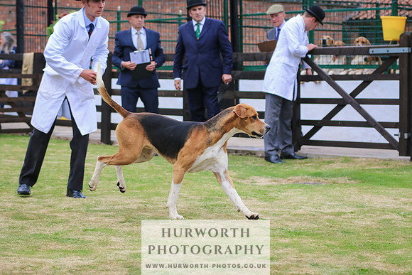 Hunter Hunt 163